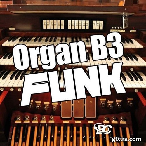 Big Citi Loops Organ B3 Funk WAV