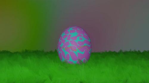 Videohive - Easter Egg Chicken - 36698379 - 36698379