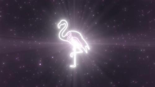 Videohive - Pink Flamingo Bird Animals Shape Outline Glowing Neon Lights Tunnel - 4K - 36698562 - 36698562