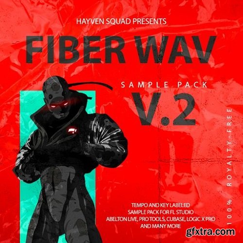 Kit Makers Fiber Wav 2 WAV