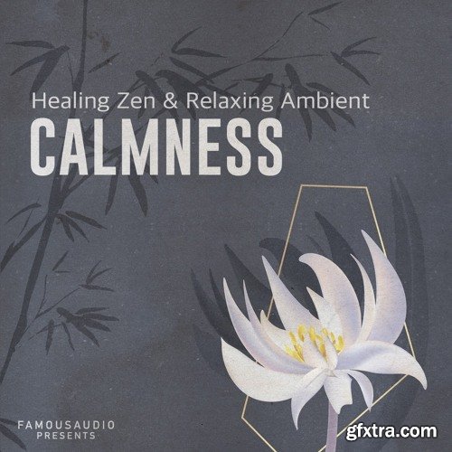 Famous Audio Calmness Healing Zen and Relaxing Ambient WAV