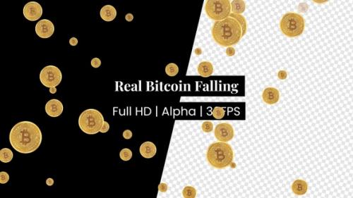 Videohive - Bitcoin Falling with Alpha - 36752156 - 36752156