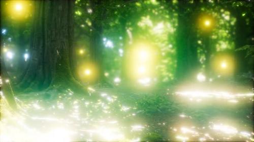 Videohive - Firefly Flying in the Forest - 36739190 - 36739190