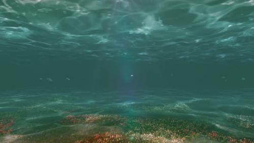 Videohive - Underwater World - 36722567 - 36722567