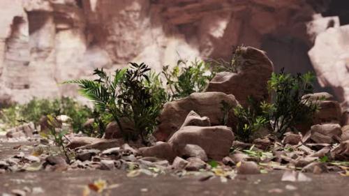 Videohive - Large Fairy Rocky Cave with Green Plants - 36736323 - 36736323