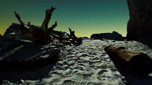 Videohive - Hyperlapse of Rocky Beach with Dead Trees - 36736352 - 36736352