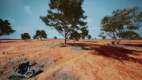 Videohive - Dry African Savannah with Trees - 36736380 - 36736380