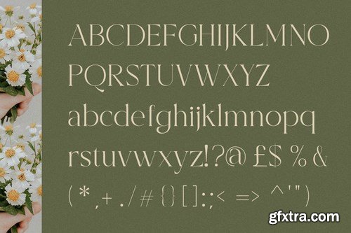 Bercarets - Elegant Display Serif Font