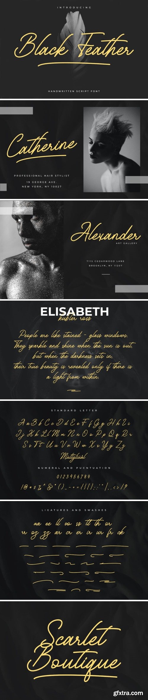 Black Feather Script Font