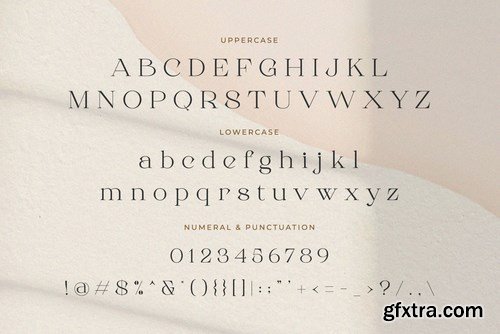 Roman Sophisticated Serif