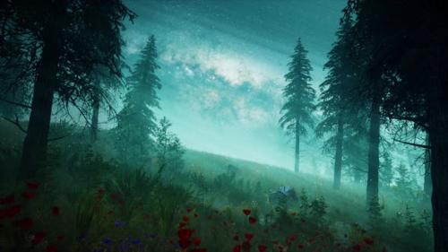 Videohive - Shooting Stars In A Forest looped 4K - 36816270 - 36816270