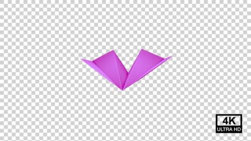 Videohive - Paper Plane Floating On The Air Pink V3 - 36752092 - 36752092