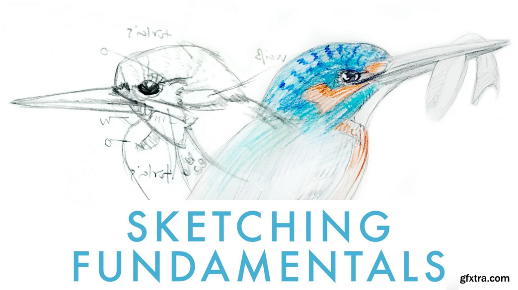 Sketching Fundamentals - Learn Basic Drawing Techniques for Nature » GFxtra