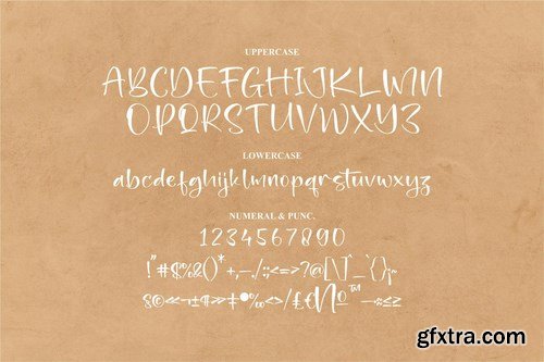 Gaterfly Mondy Handwritten Script Font