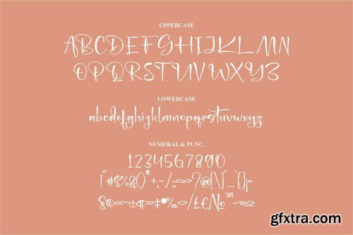 Dignhaty Beautiful Script Font