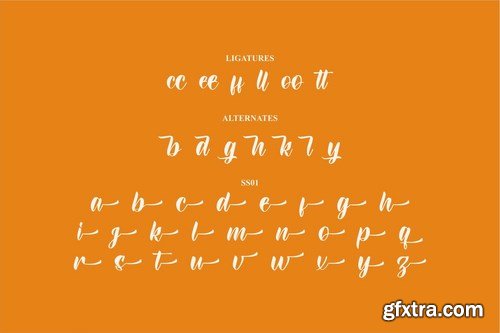 Dinasty Rubby Modern Script Font