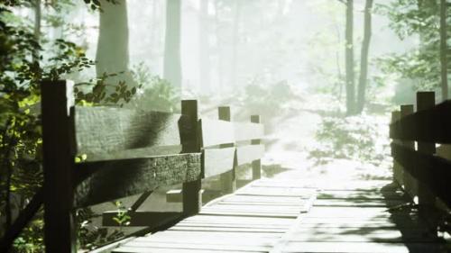 Videohive - Old Wooden Bridge Over a Small Stream in a Park - 36782700 - 36782700