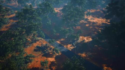 Videohive - Aerial View of Landscape with Green Tropical Trees and Local Roads - 36782928 - 36782928