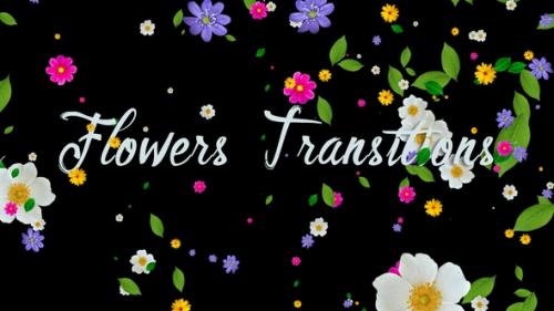 Videohive - Flowers Transitions - 36782935 - 36782935