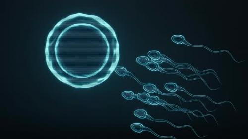 Videohive - Holographic image of sperm and egg cell - 36751534 - 36751534