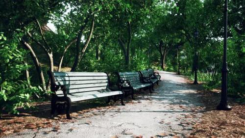 Videohive - Empty Benches in the Park During the Quarantine Due to the Pandemic COVID19 - 36781120 - 36781120