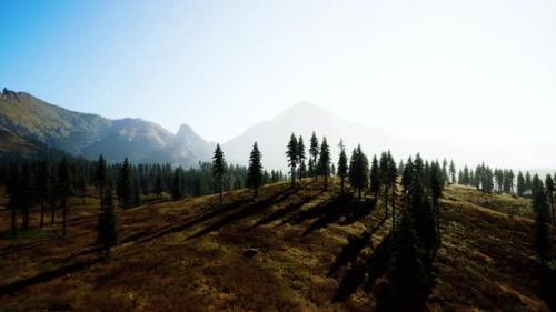 Videohive - Aerial View Over Mountain Range with Pine Forest in Bavaria - 36782022 - 36782022