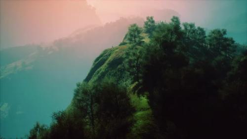 Videohive - Green Trees in Canyon at Sunset with Fog - 36782095 - 36782095