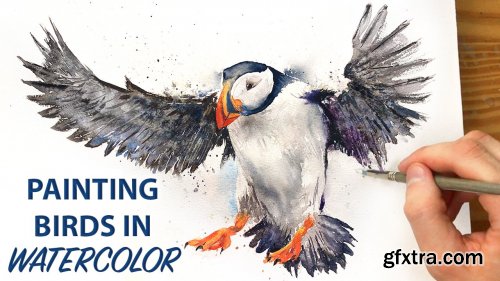  How to Draw & Paint Birds in Watercolor: Develop Basic Techniques & Improve Your Painting Skills