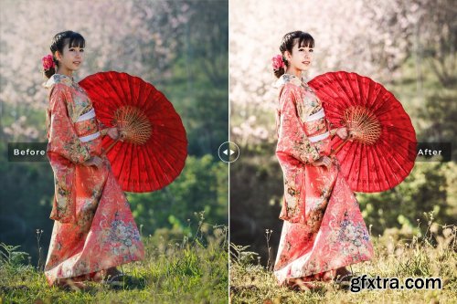 CreativeMarket - Asiatic Lily Pro Lightroom Presets 7003212