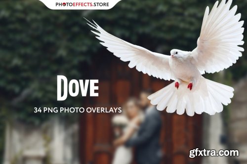 34 Dove Photo Overlays