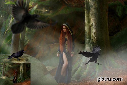 25 Ravens Photo Overlays