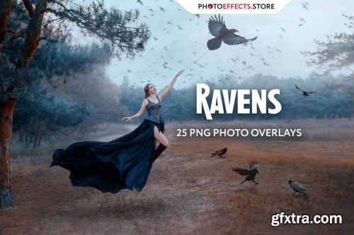 25 Ravens Photo Overlays