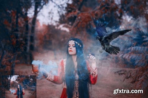 25 Ravens Photo Overlays