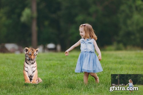 26 Tiger Photo Overlays