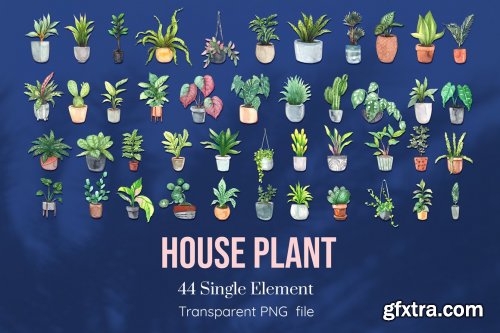 House Plants Watercolor set