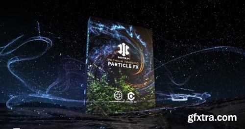 INSYDIUM X-Particles Maintenance Training