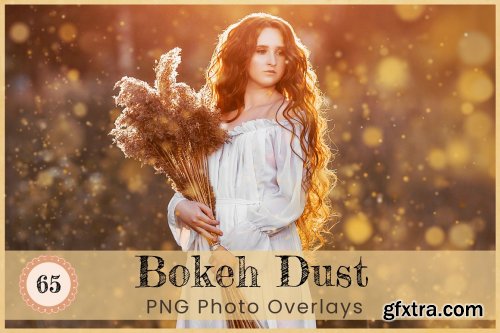 CreativeMarket - Bokeh Dust Photoshop Overlays PNG 7081433