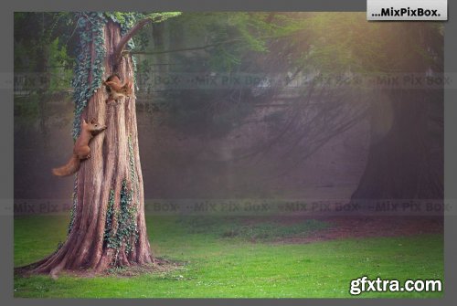 CreativeMarket - Forest Squirrels Backdrop 6120189