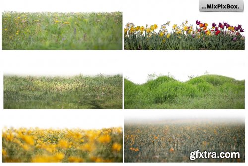 CreativeMarket - Flowers and Grass Overlays 6120187