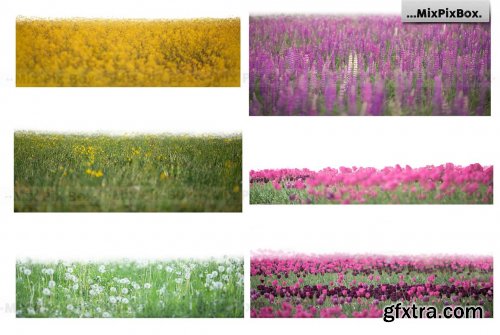 CreativeMarket - Flowers and Grass Overlays 6120187