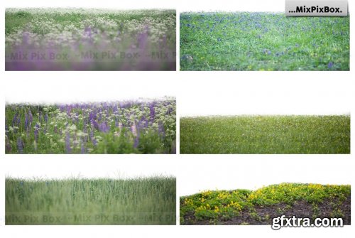 CreativeMarket - Flowers and Grass Overlays 6120187