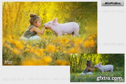 CreativeMarket - Flowers and Grass Overlays 6120187