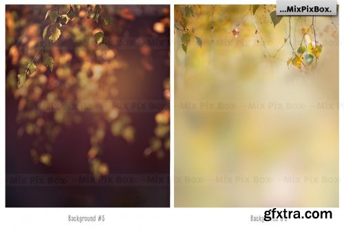 CreativeMarket - Autumn Portrait Backgrounds 5814806