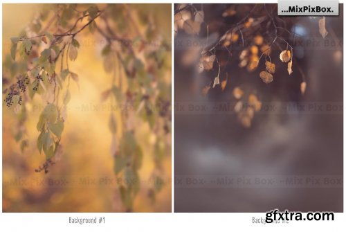 CreativeMarket - Autumn Portrait Backgrounds 5814806