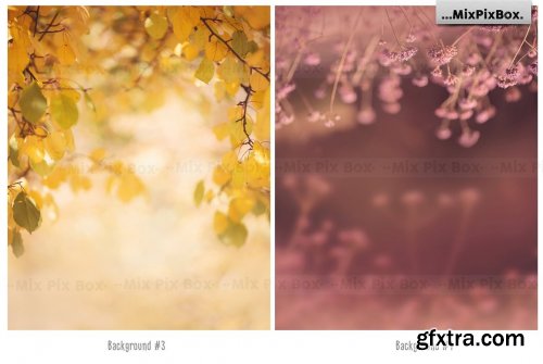 CreativeMarket - Autumn Portrait Backgrounds 5814806