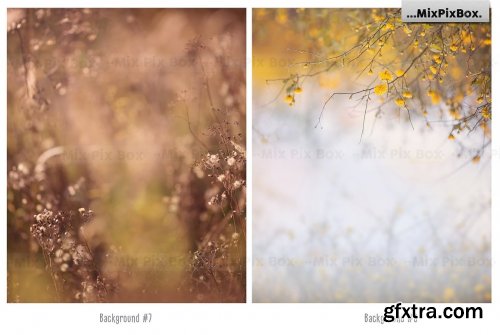 CreativeMarket - Autumn Portrait Backgrounds 5814806