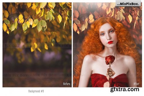 CreativeMarket - Autumn Portrait Backgrounds 5814806