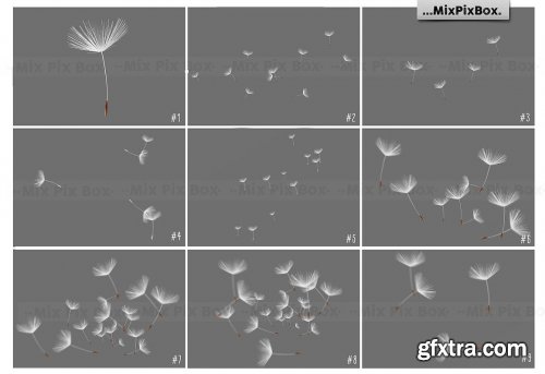 CreativeMarket - Dandelion Overlays 5219806