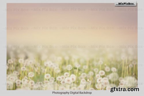 CreativeMarket - Dandelion Overlays 5219806