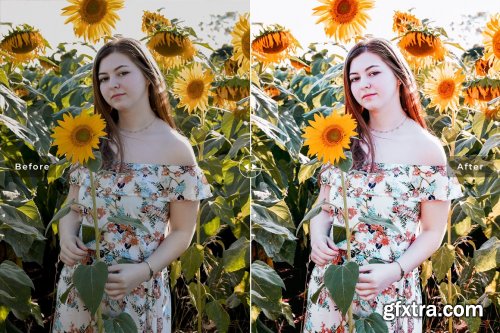 CreativeMarket - Corydalis Pro Lightroom Presets 7079833